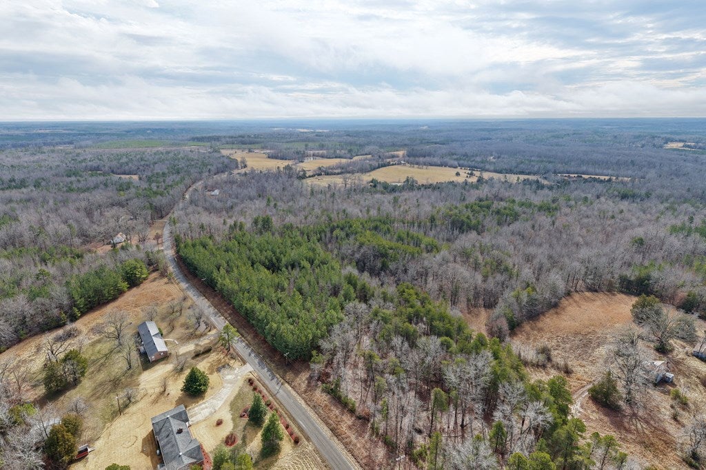 Springfield Road Meherrin, VA 23954 - Photo 13 of 17 Gallery Image 13