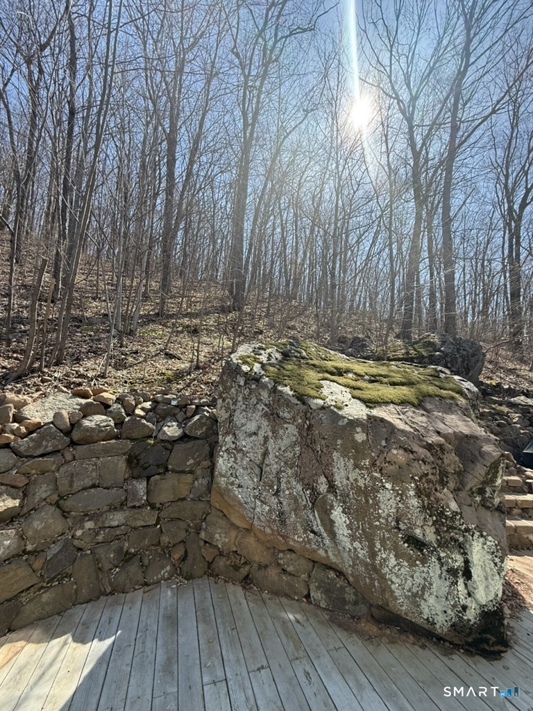 16 Fox Road Plainville, CT 06062 - Photo 4 of 5