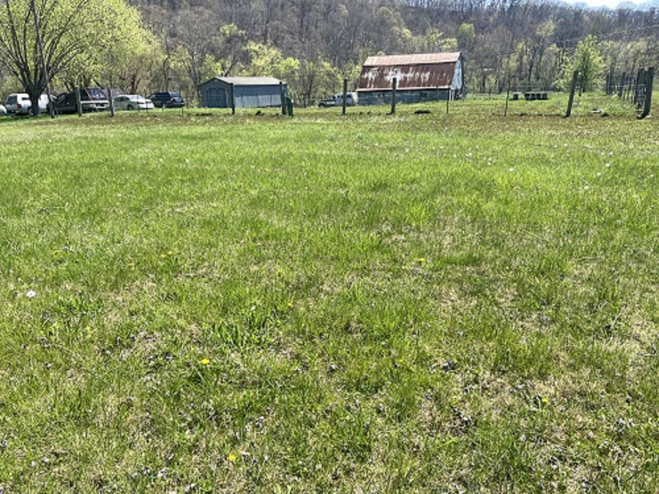 St Rt St Rt 503rd Road Flatwoods, KY 41139 - Photo 1 of 3 Gallery Image 1