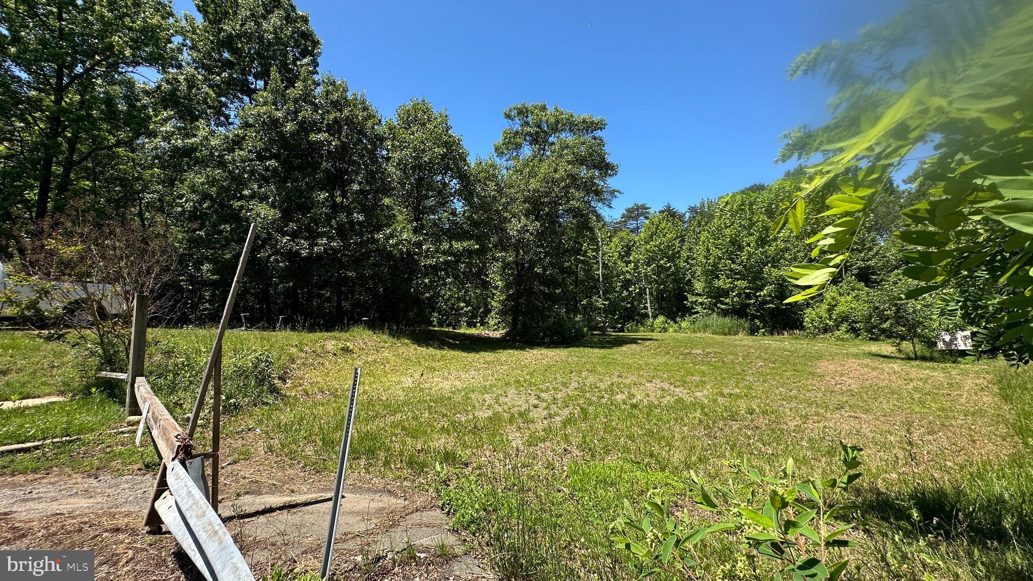 2601 John A Thompson Road Temple Hills, MD 20748 - Photo 3 of 4 a view of a yard with plants