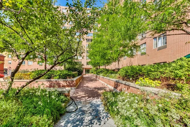 a view of a park with large trees
