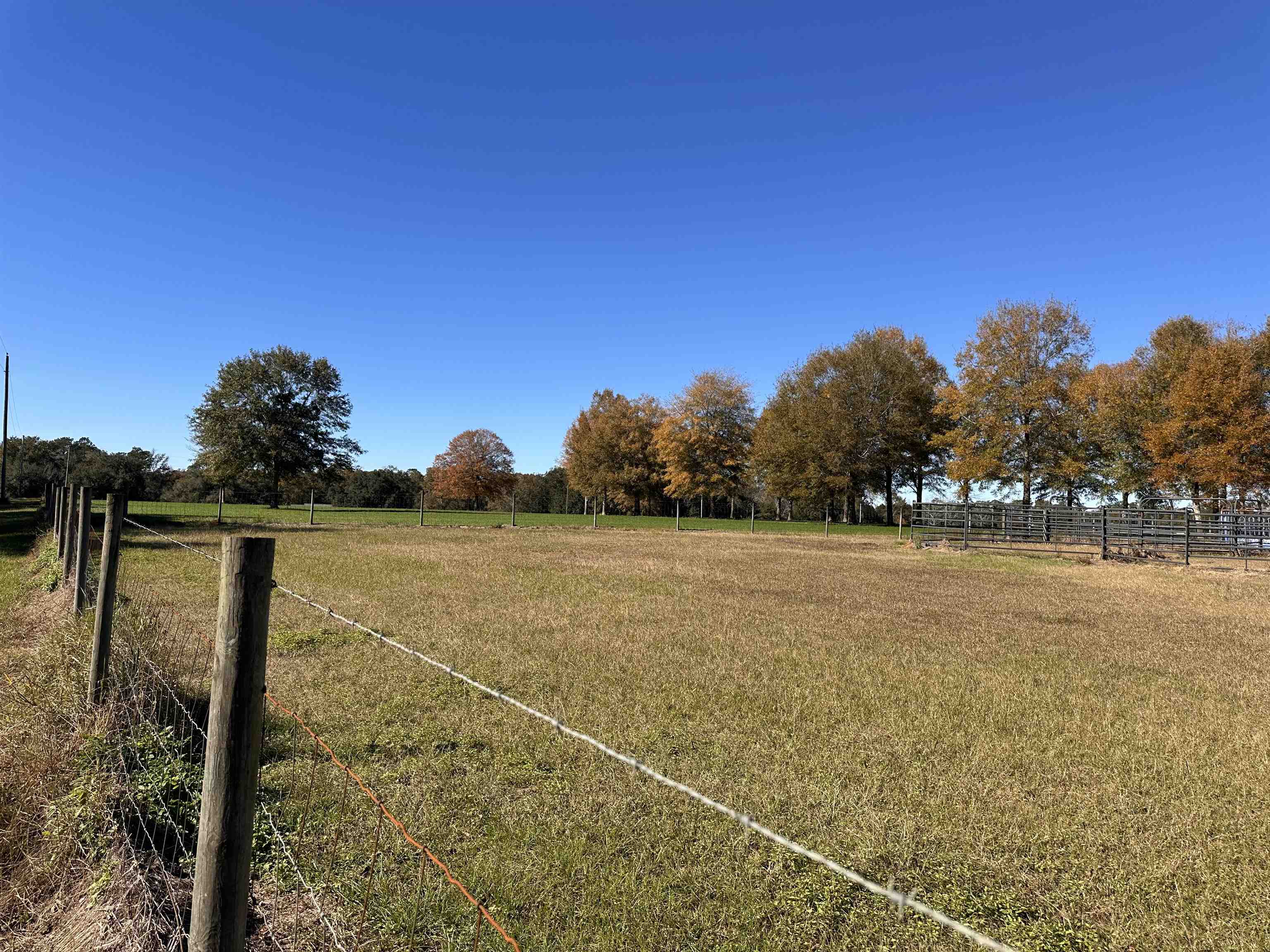 0 Newman Road Summerdale, AL 36580 - Photo 10 of 14