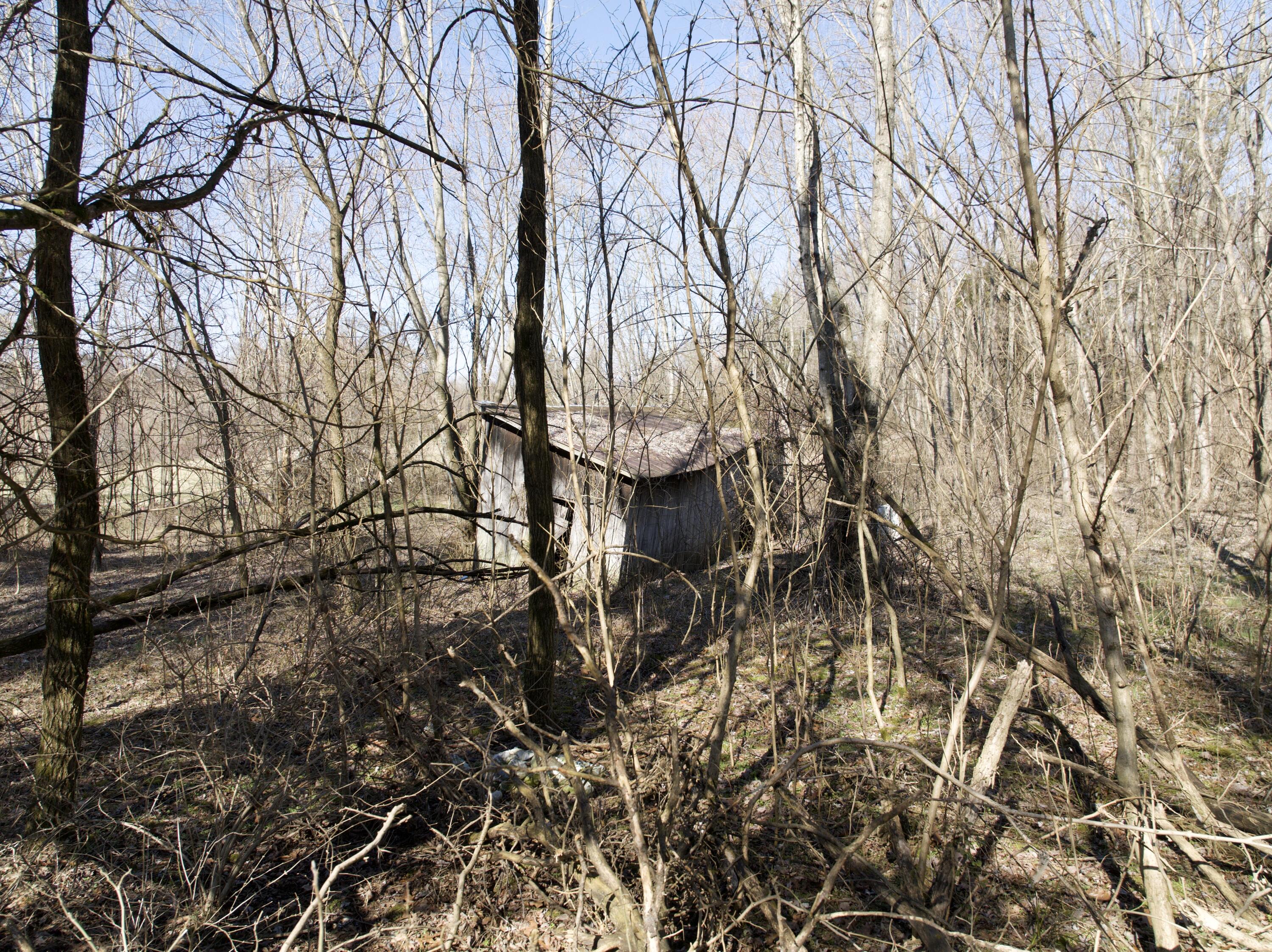 85 Buncombe-Wheeldon Road Science Hill, KY 42553 - Photo 13 of 16 DJI_20250227111727_0079_D_ND16-Enhanced-