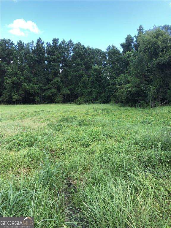 315 Pilot Lane Brunswick, GA 31523 - Photo 2 of 3 a view of an outdoor space and a yard