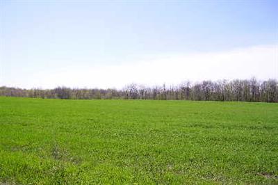 Ensley Road, Unit PAR F Coopersville, MI 49404 - Photo 1 of 5 Primary Photo