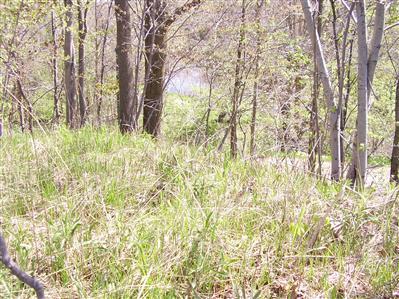 Ensley Road, Unit PAR F Coopersville, MI 49404 - Photo 2 of 5 Additional Photo