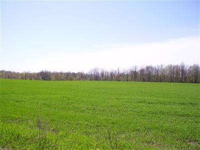 Ensley Road, Unit PAR F Coopersville, MI 49404 - Photo 3 of 5 Additional Photo