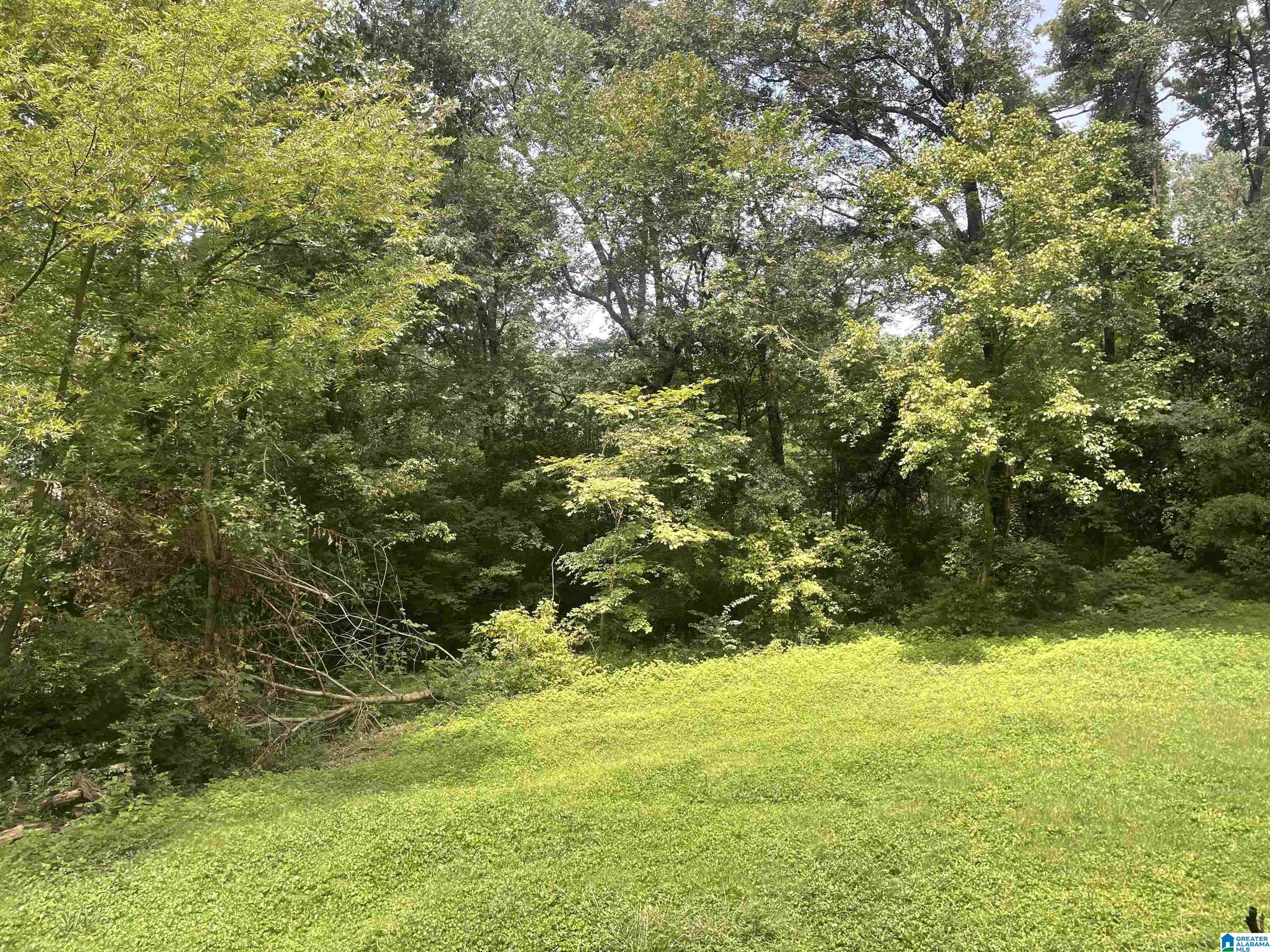 615 Ridge Road Birmingham, AL 35206 - Photo 64 of 65
