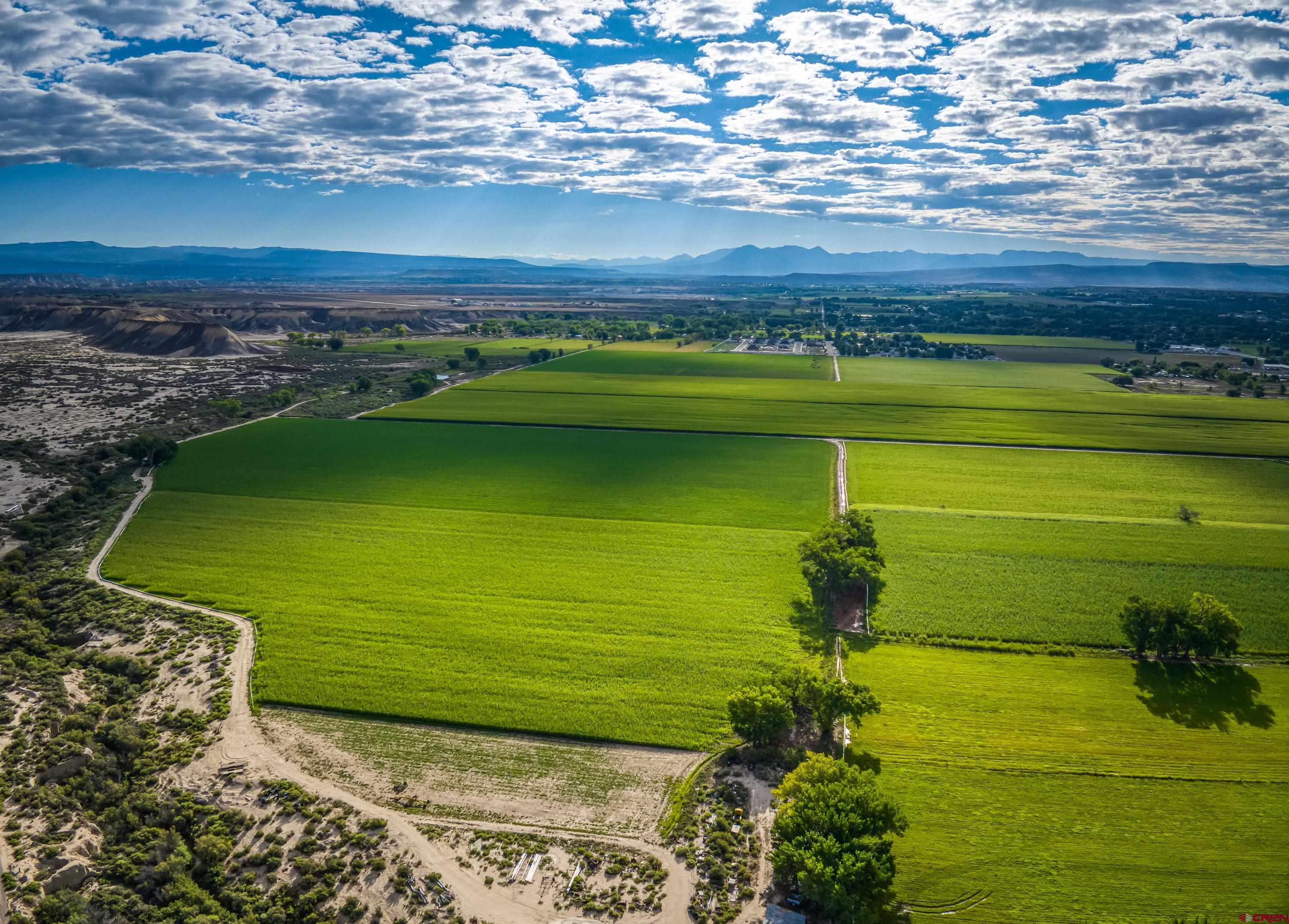 1449 Highway 50 Delta, CO 81416 - Photo 1 of 37