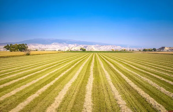 $1,150,000 | 1449 Highway 50, Delta, CO 81416