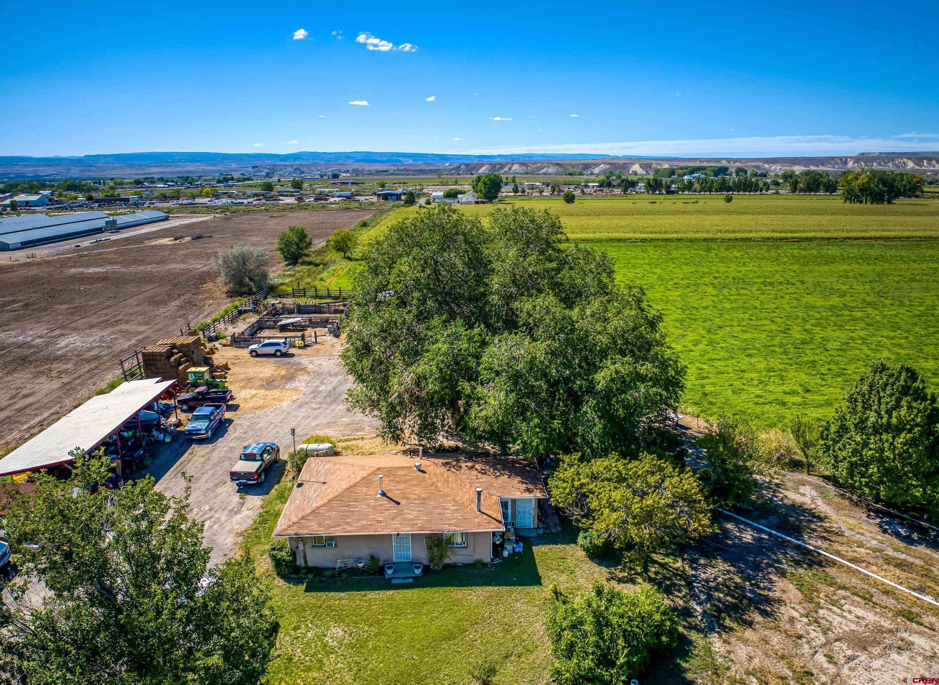 1449 Highway 50 Delta, CO 81416 - Photo 32 of 37