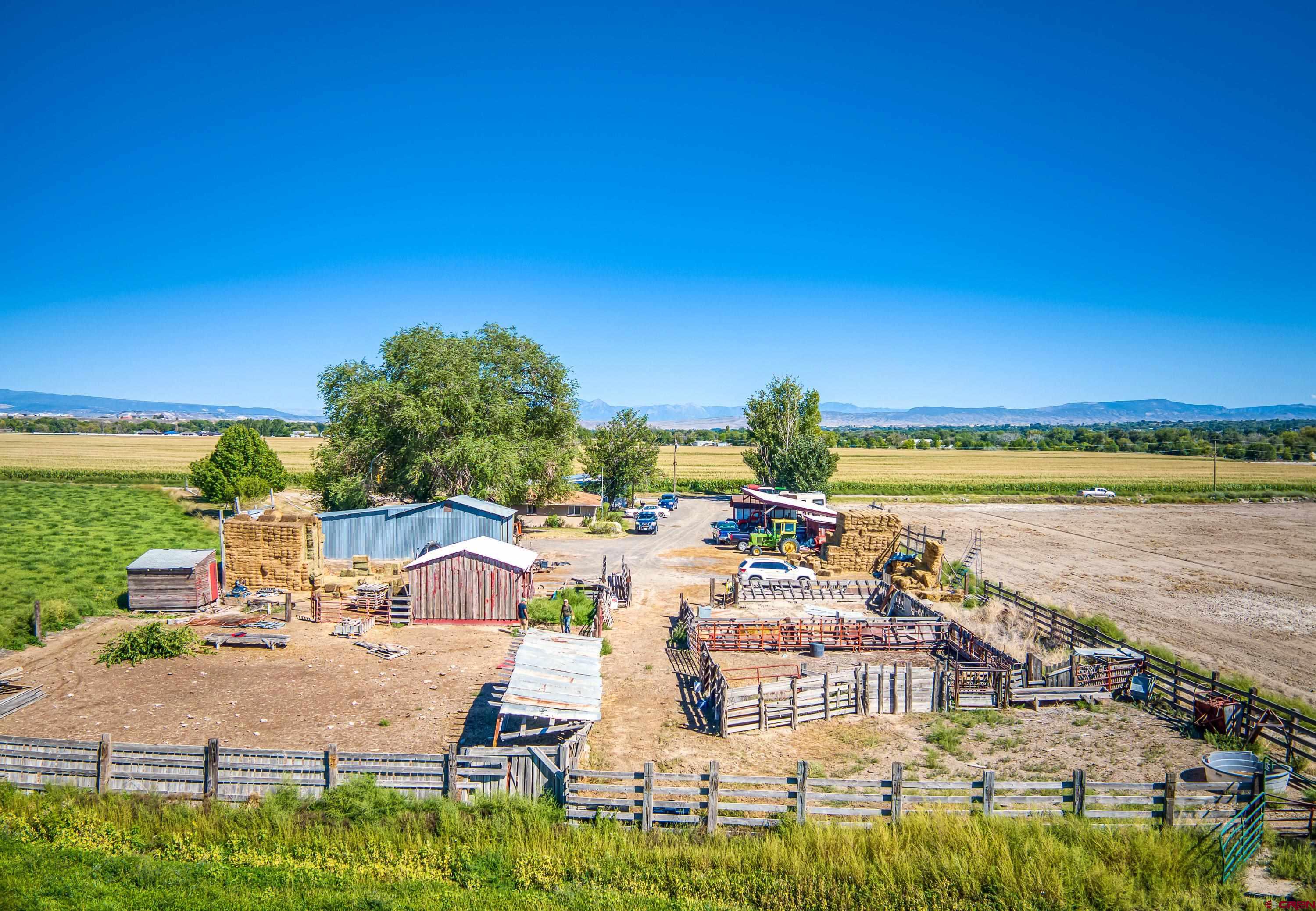 1449 Highway 50 Delta, CO 81416 - Photo 33 of 37