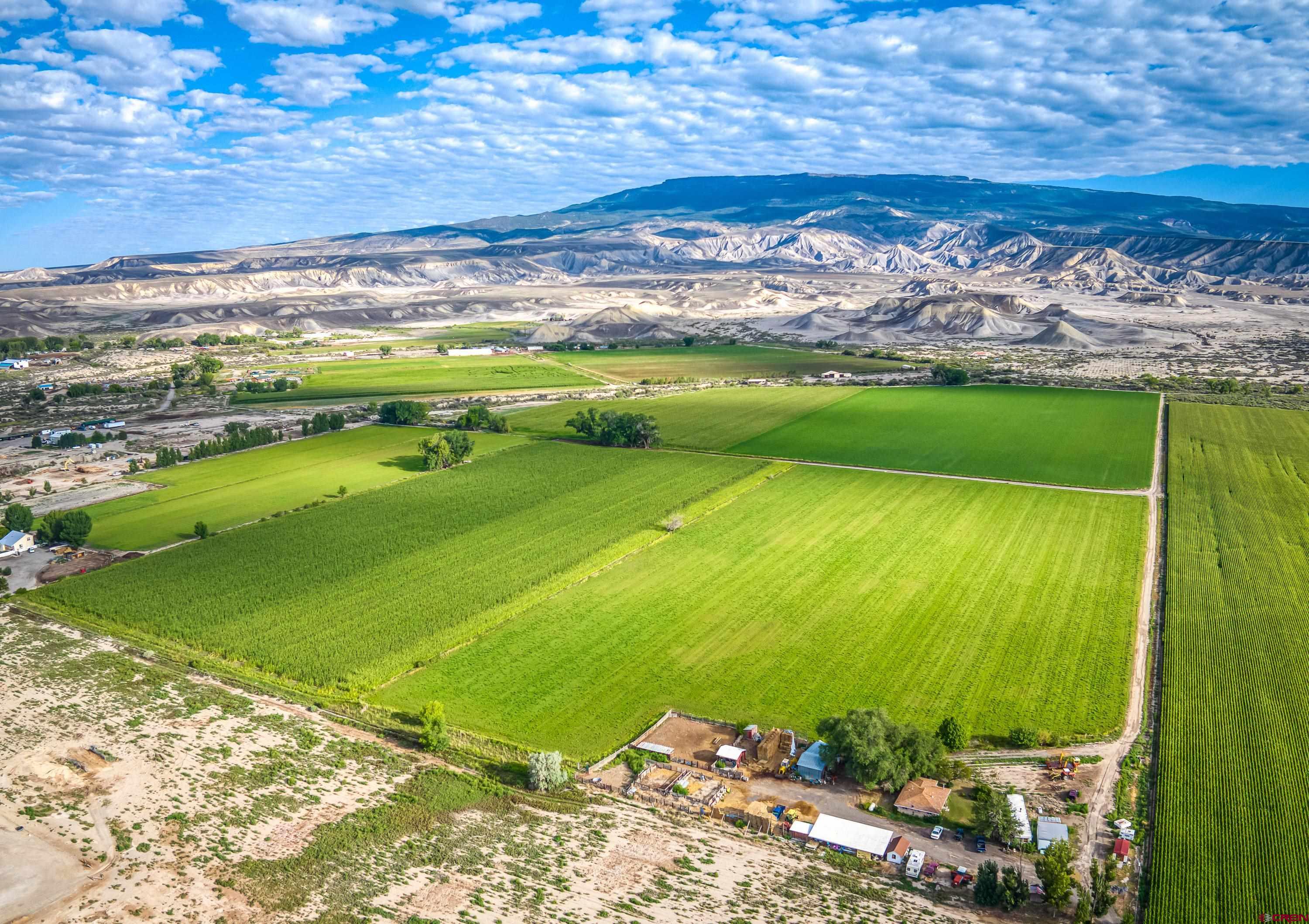1449 Highway 50 Delta, CO 81416 - Photo 7 of 37