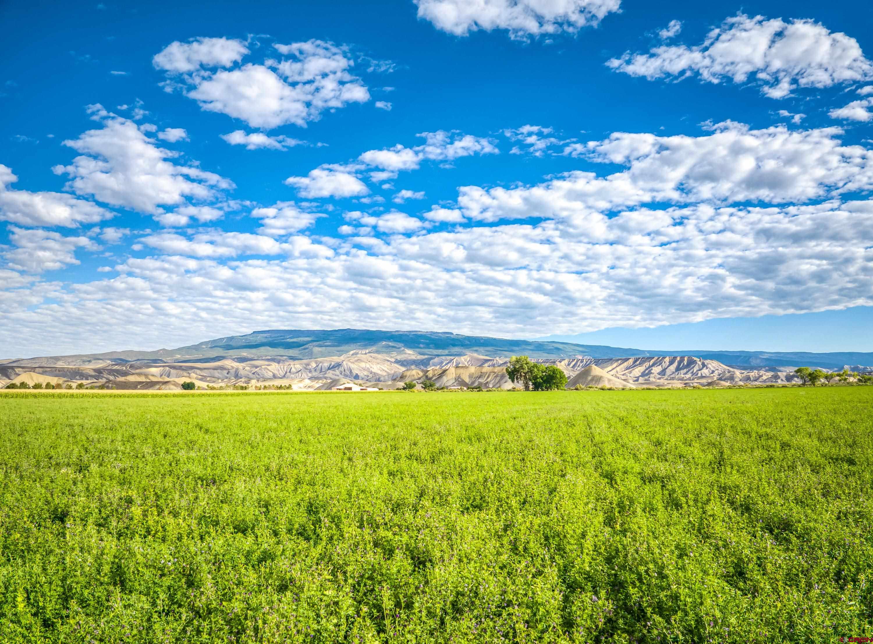 1449 Highway 50 Delta, CO 81416 - Photo 9 of 37