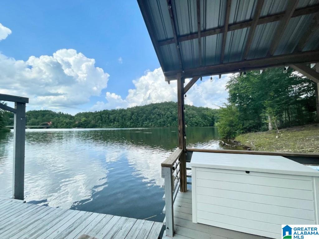 99 River Point Road Lineville, AL 36266 - Photo 4 of 27