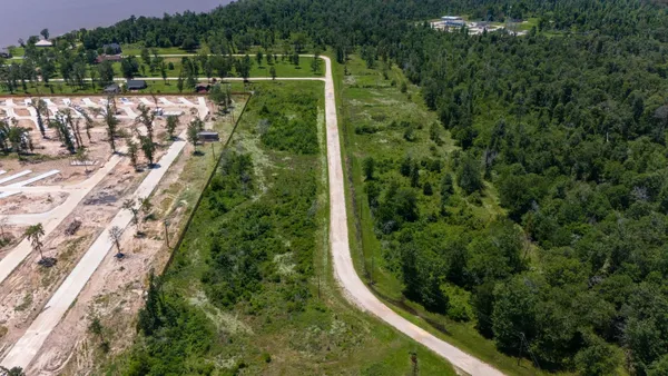 a view of a yard with plants