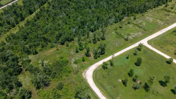 a view of a plant in a garden