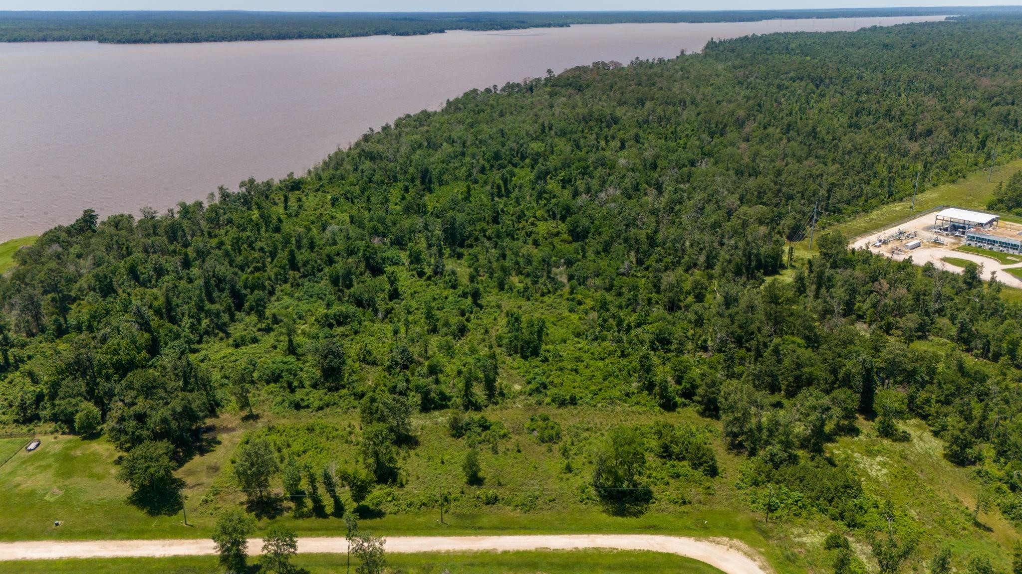 32 Falcon Point Onalaska, TX 77360 - Photo 8 of 10 a view of a yard with a tree