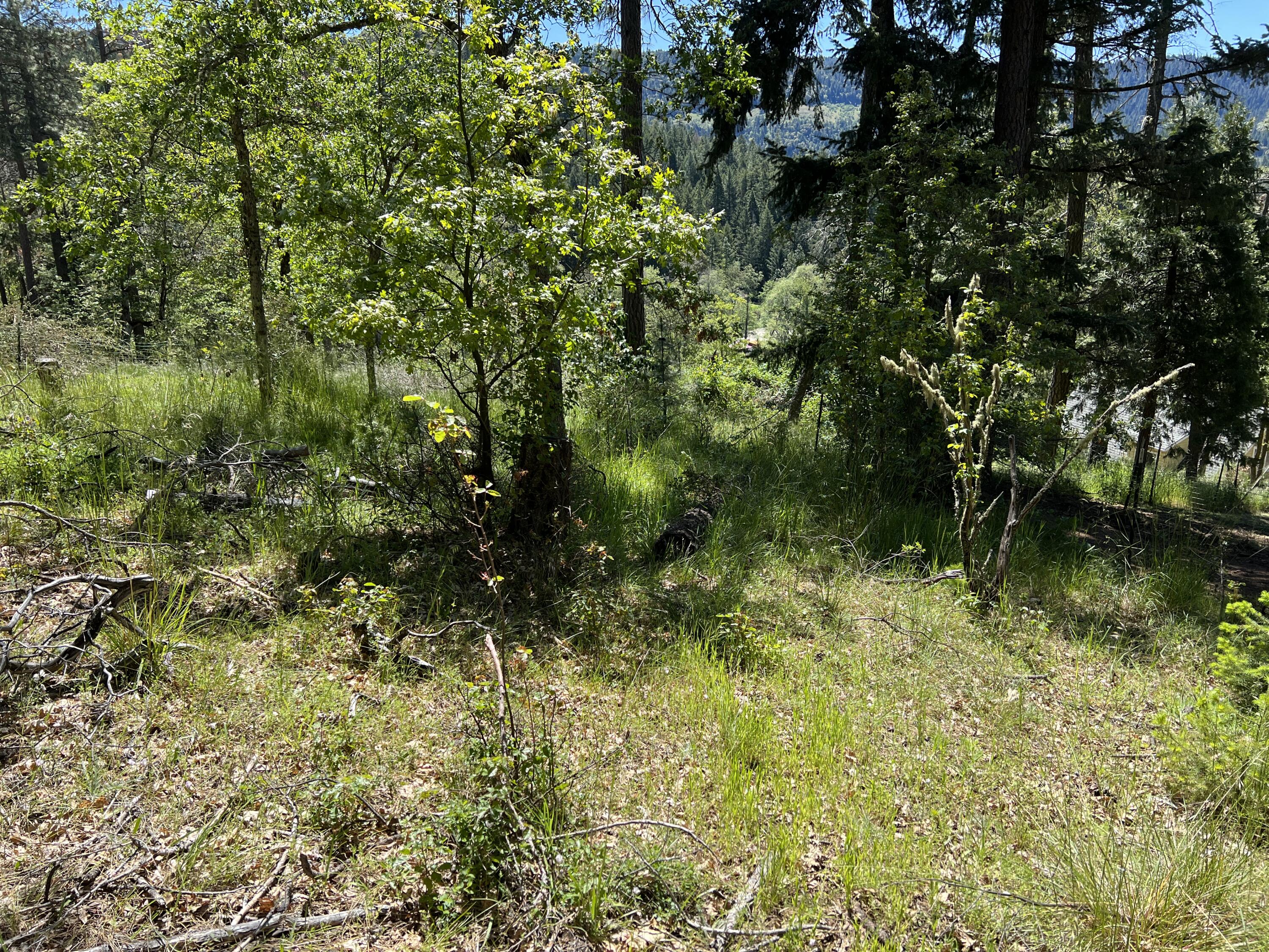 348 Flounce Rock Road Prospect, OR 97536 - Photo 10 of 12 IMG_2296