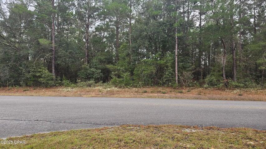 Lot 9 Dumajack Road Chipley, FL 32428 - Photo 1 of 1 Lot 9 Dumajack Pic