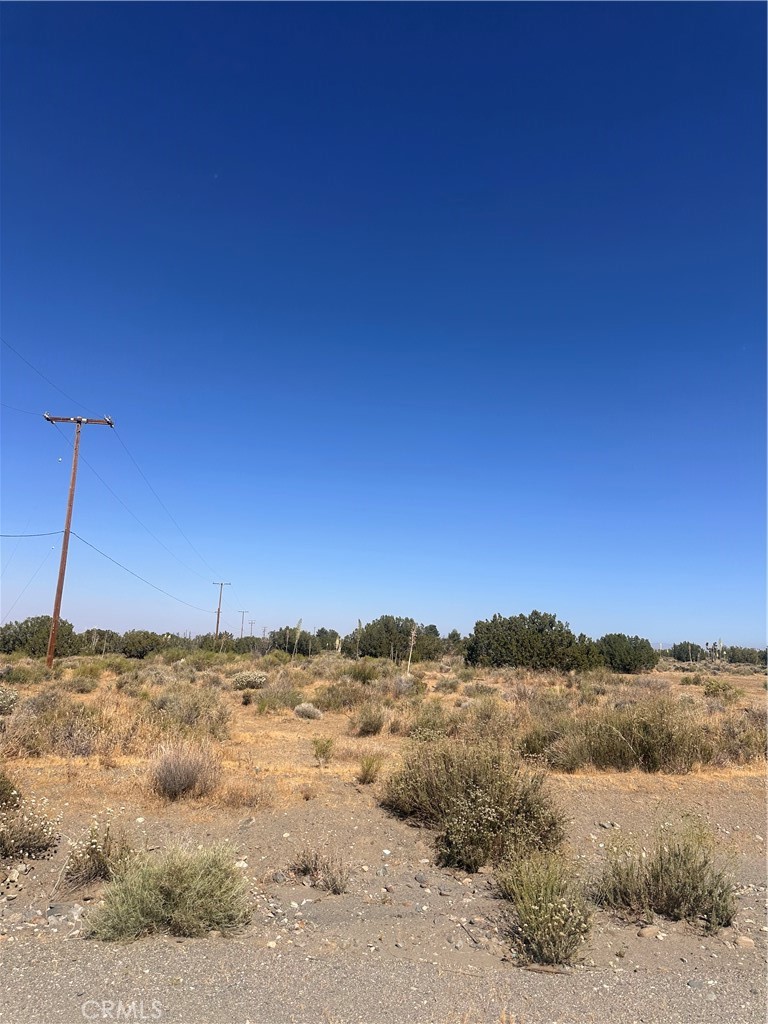 0 Coyote / Pionero Road Phelan, CA 92371 - Photo 11 of 13