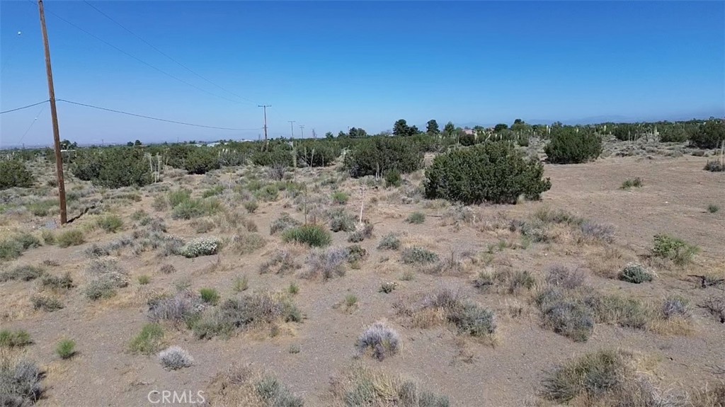 0 Coyote / Pionero Road Phelan, CA 92371 - Photo 13 of 13