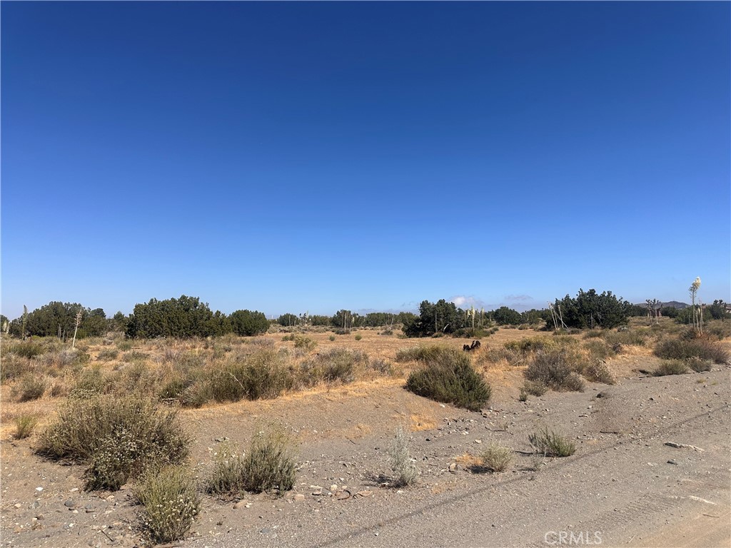0 Coyote / Pionero Road Phelan, CA 92371 - Photo 10 of 13