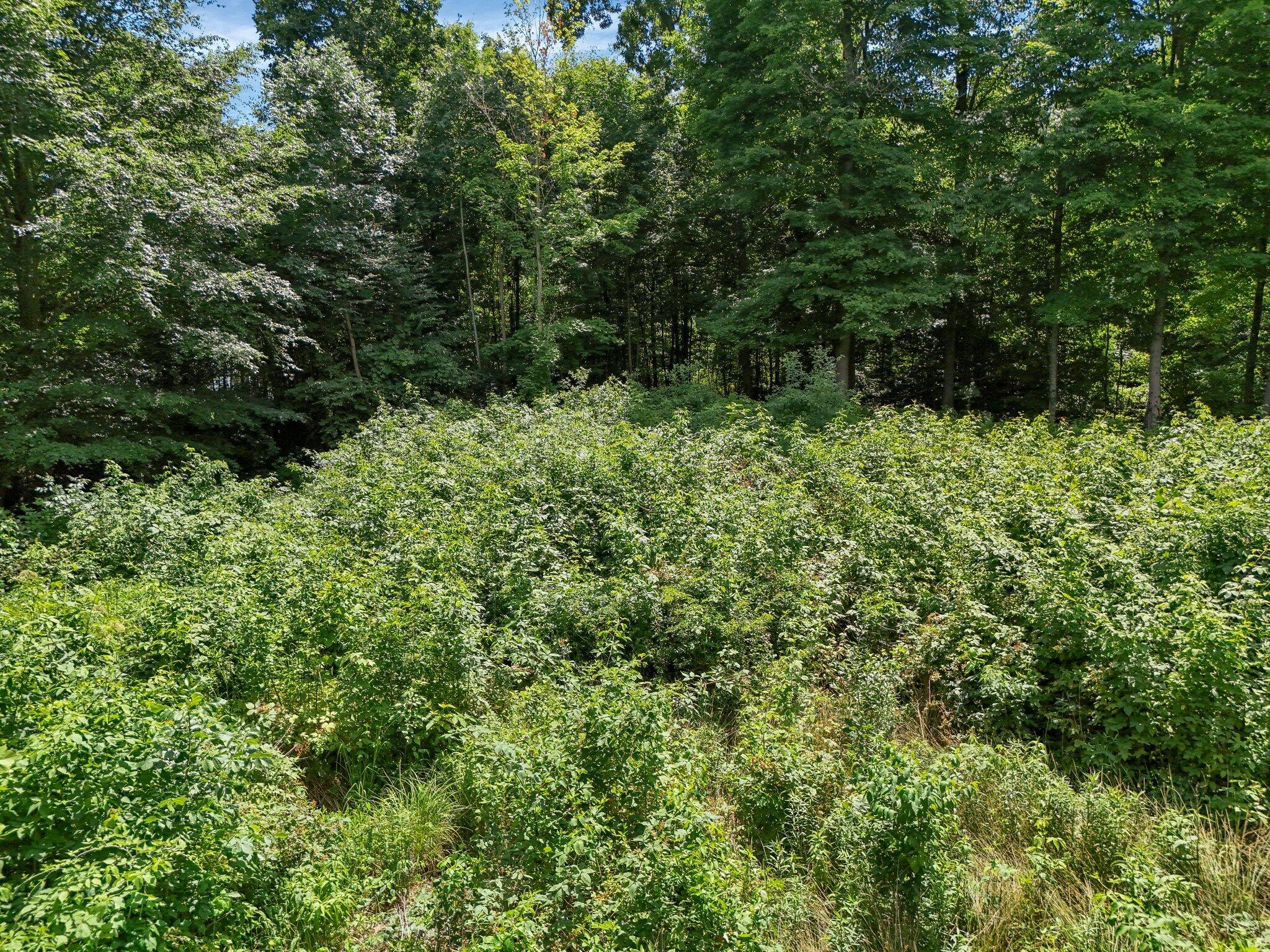1040 Citation Road Southwest Pataskala, OH 43062 - Photo 5 of 16 Possible Build Area