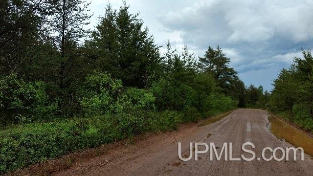 40-acres Bryan Creek Road Ishpeming, MI 49849 - Photo 1 of 6 Gallery Image 1