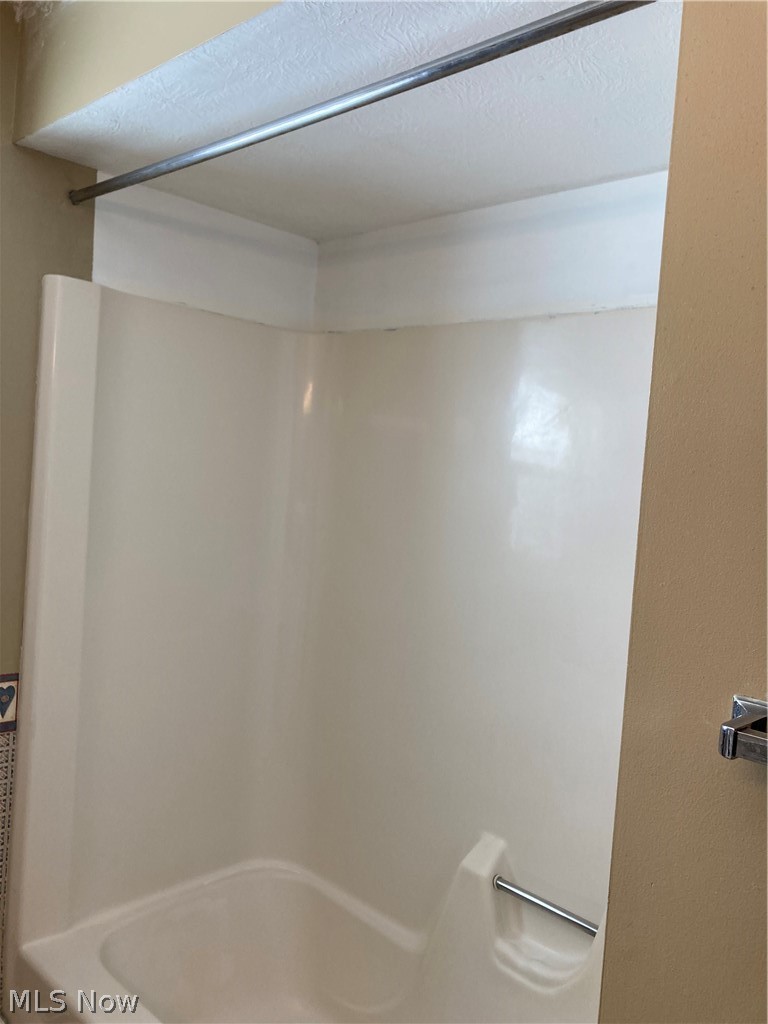 4441 Beat Road Litchfield, OH 44253 - Photo 11 of 33 A view of the tub surround.