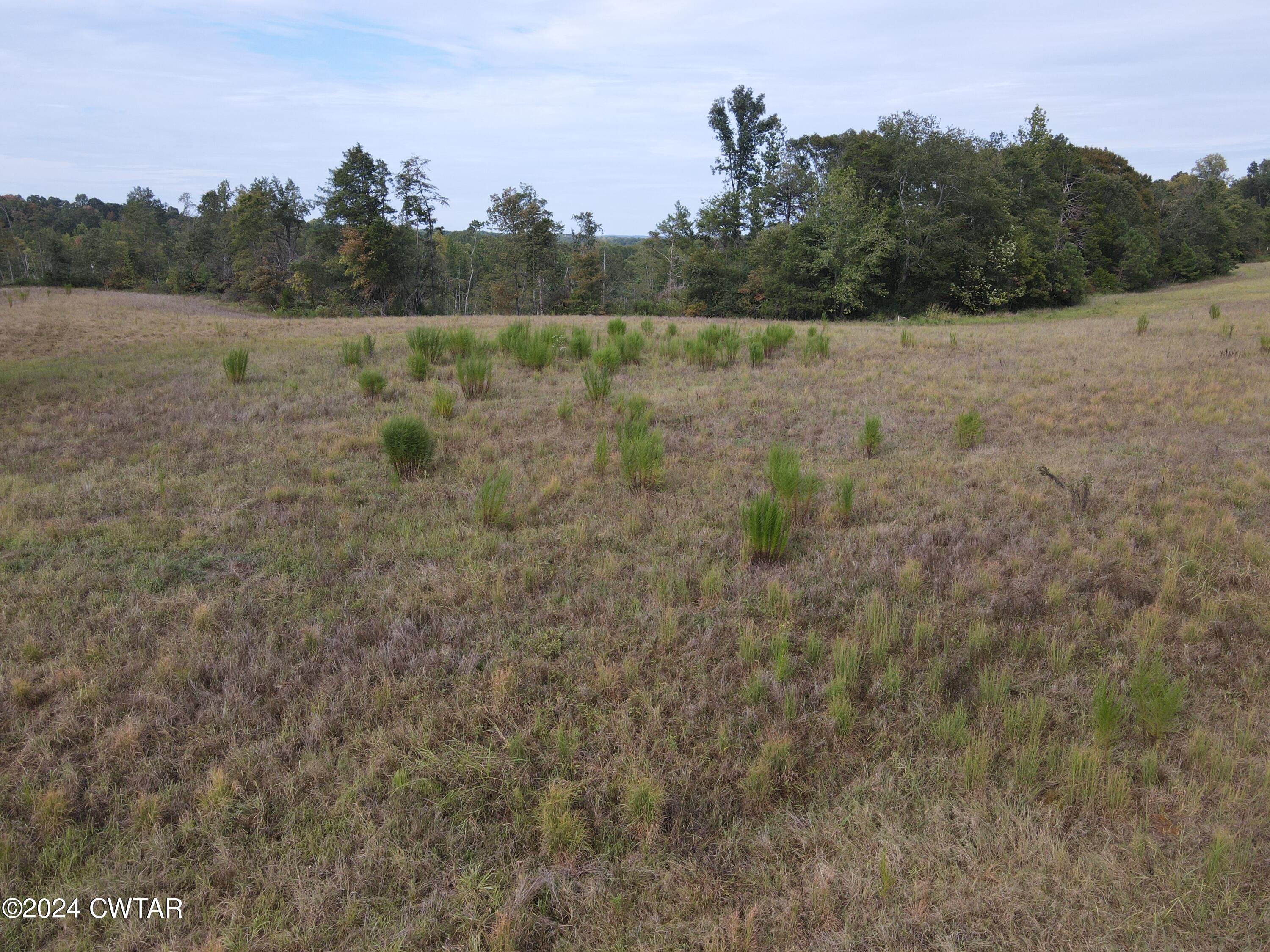 6 Hwy 100 & Old Stage Road Decaturville, TN 38329 - Photo 1 of 6 Main