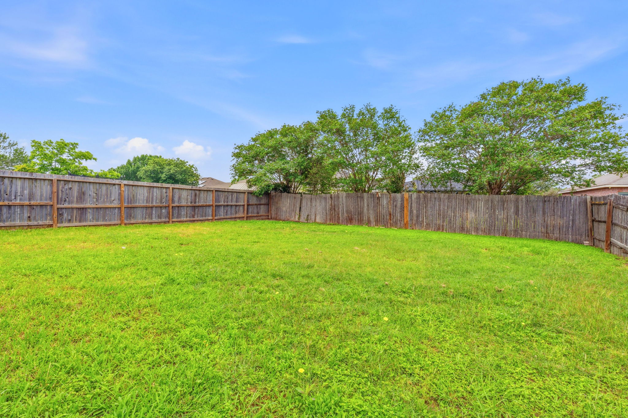116 Blue Ridge Trail Elgin, TX 78621 - Photo 25 of 28 a view of a backyard with a garden and tree
