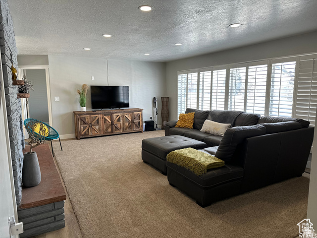 702 North 100 West Logan, UT 84321 - Photo 33 of 58 Carpeted living area with baseboards, recessed lighting, and a textured ceiling