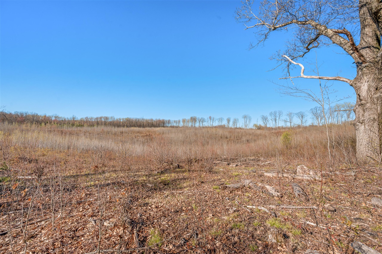 16107 12 Mile Road Leroy, MI 49655 - Photo 33 of 40 Gallery Image 33