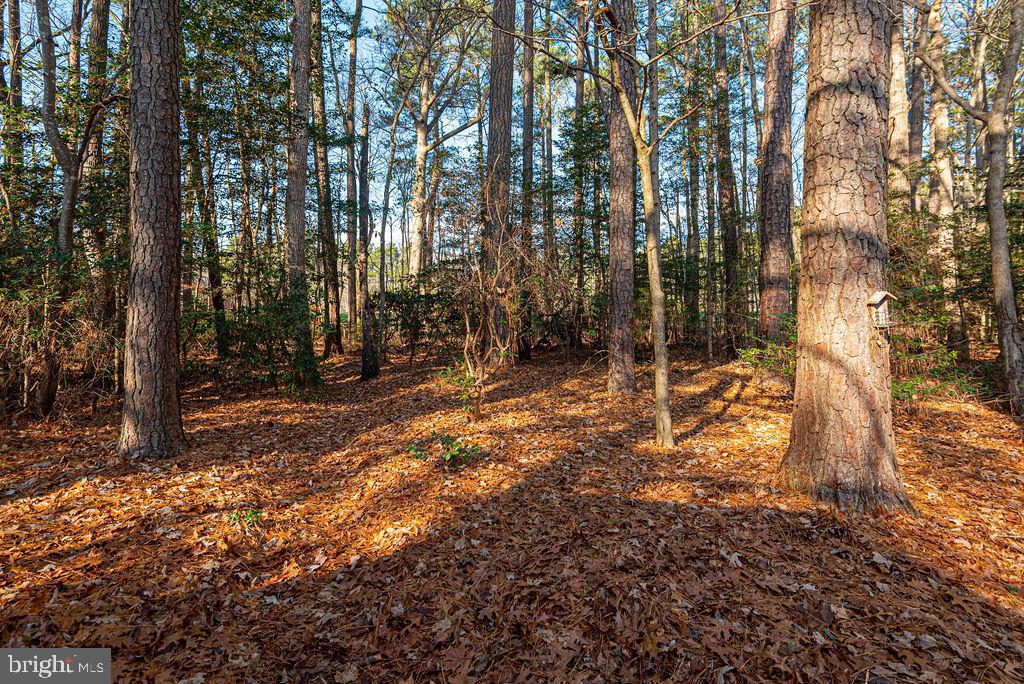 6 Pinehurst Road Ocean Pines, MD 21811 - Photo 31 of 32