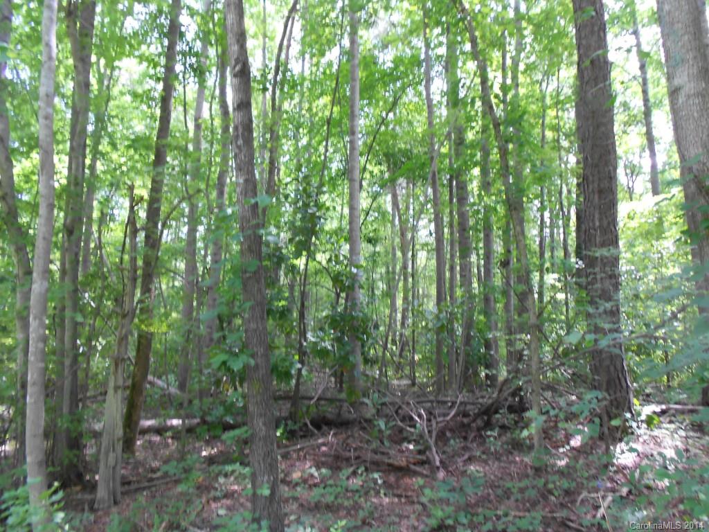 4 Spring Street Charlotte, NC 28270 - Photo 2 of 18 Gallery Image 2