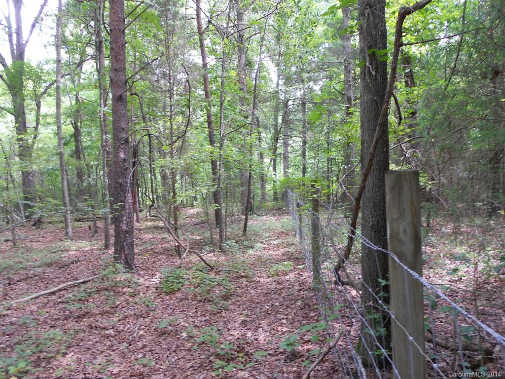 4 Spring Street Charlotte, NC 28270 - Photo 16 of 18 Gallery Image 16
