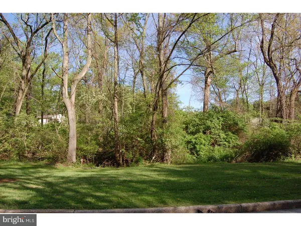 a grassy field with trees