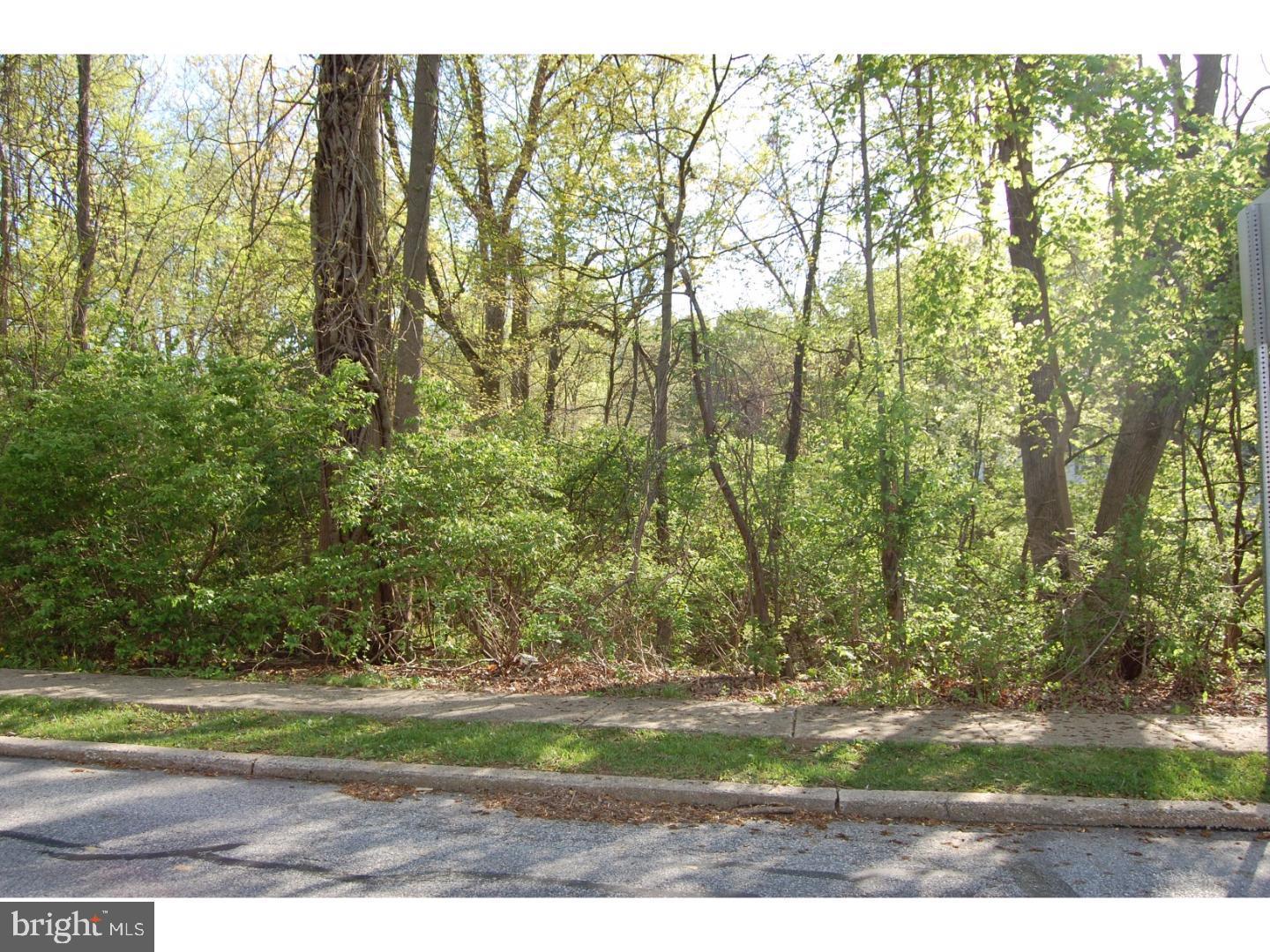 404 Warren Road West Chester, PA 19382 - Photo 3 of 5