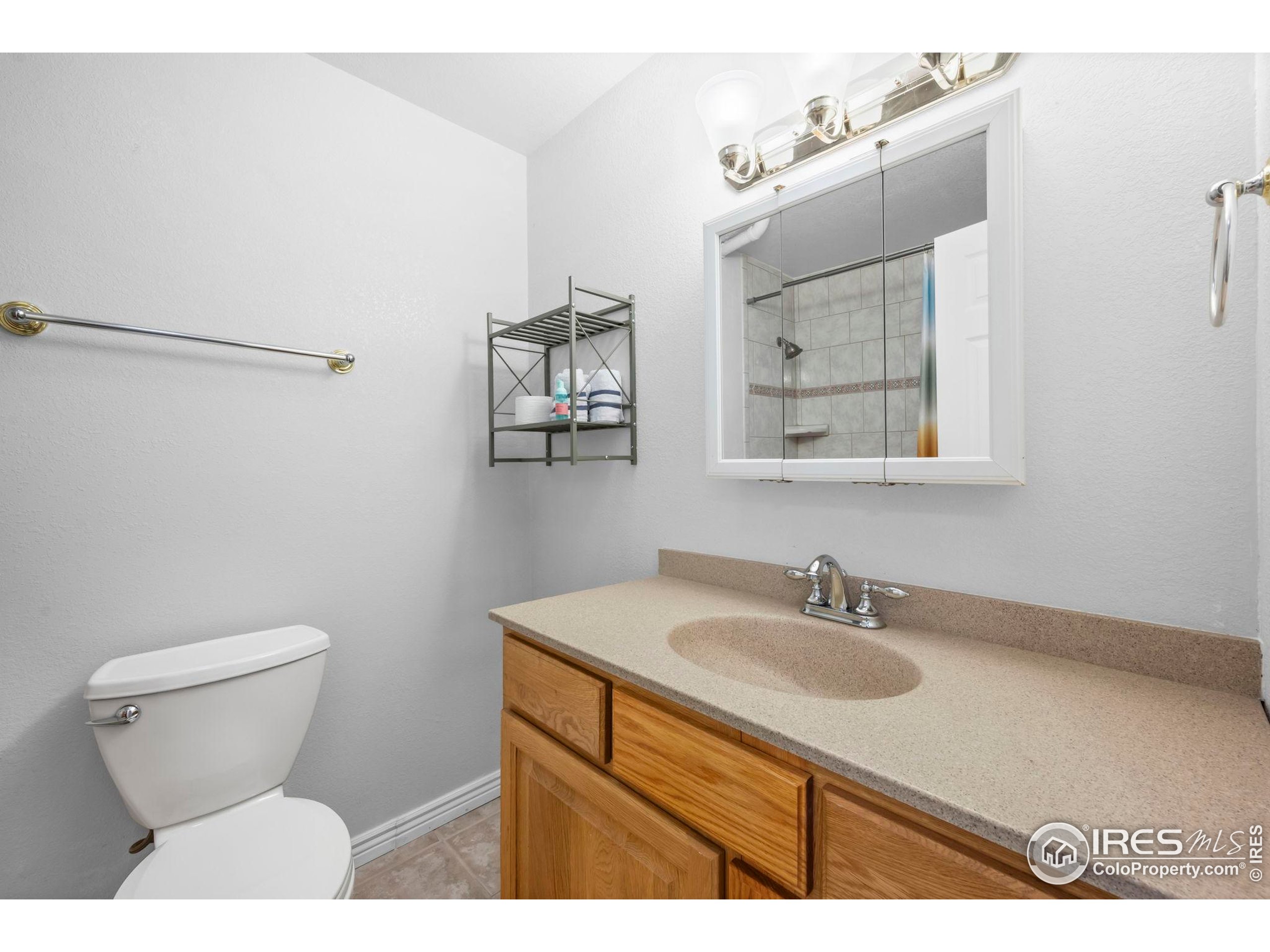 925 Falcon Ridge Court Eaton, CO 80615 - Photo 29 of 32