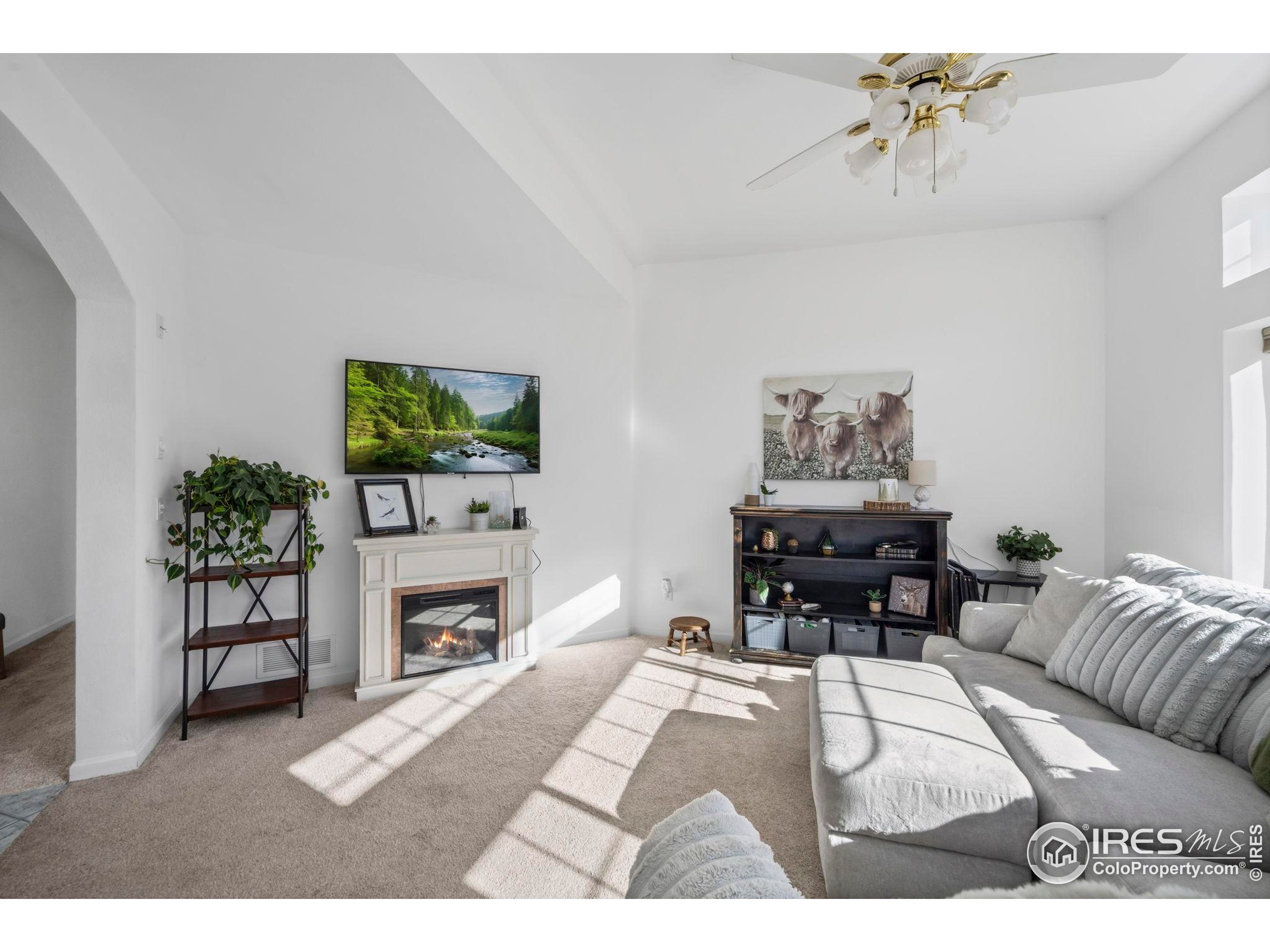 925 Falcon Ridge Court Eaton, CO 80615 - Photo 6 of 32