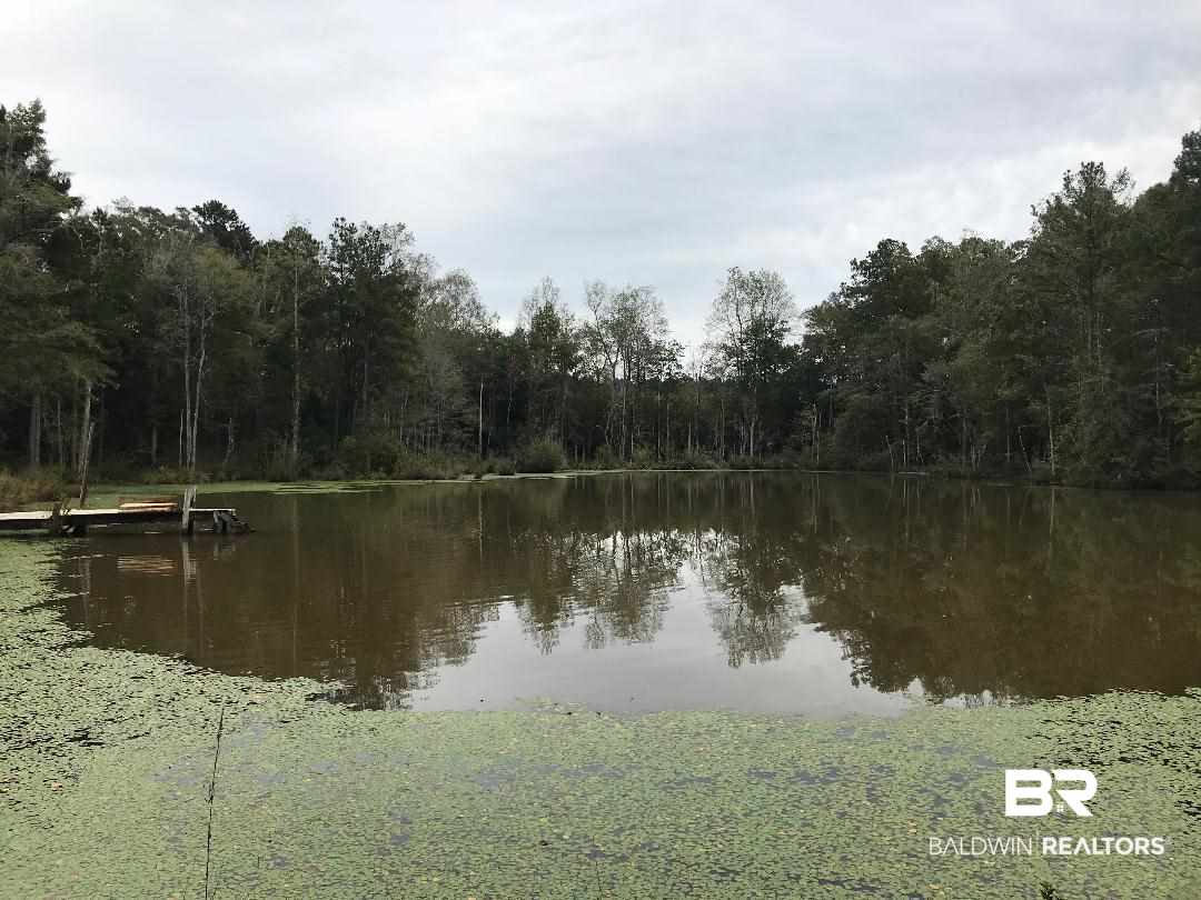 468 County Road 43 Evergreen, AL 36401 - Photo 12 of 13
