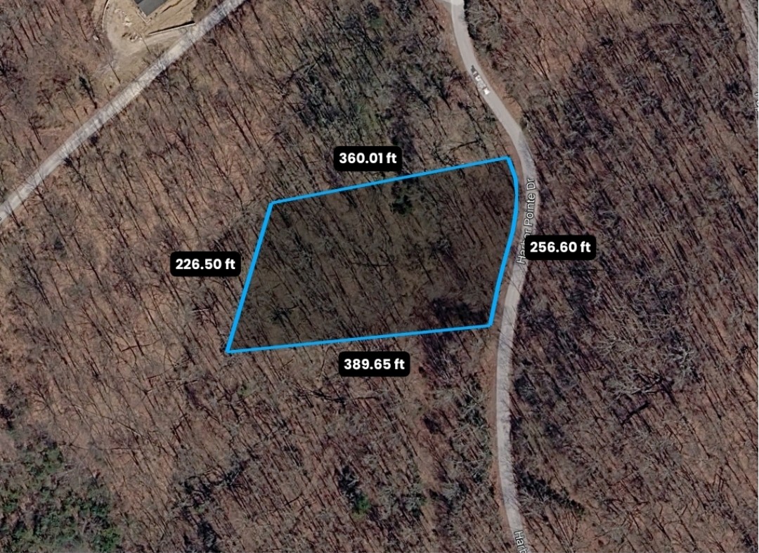 1 Harbor Pointe Drive Silver Point, TN 38582 - Photo 9 of 10