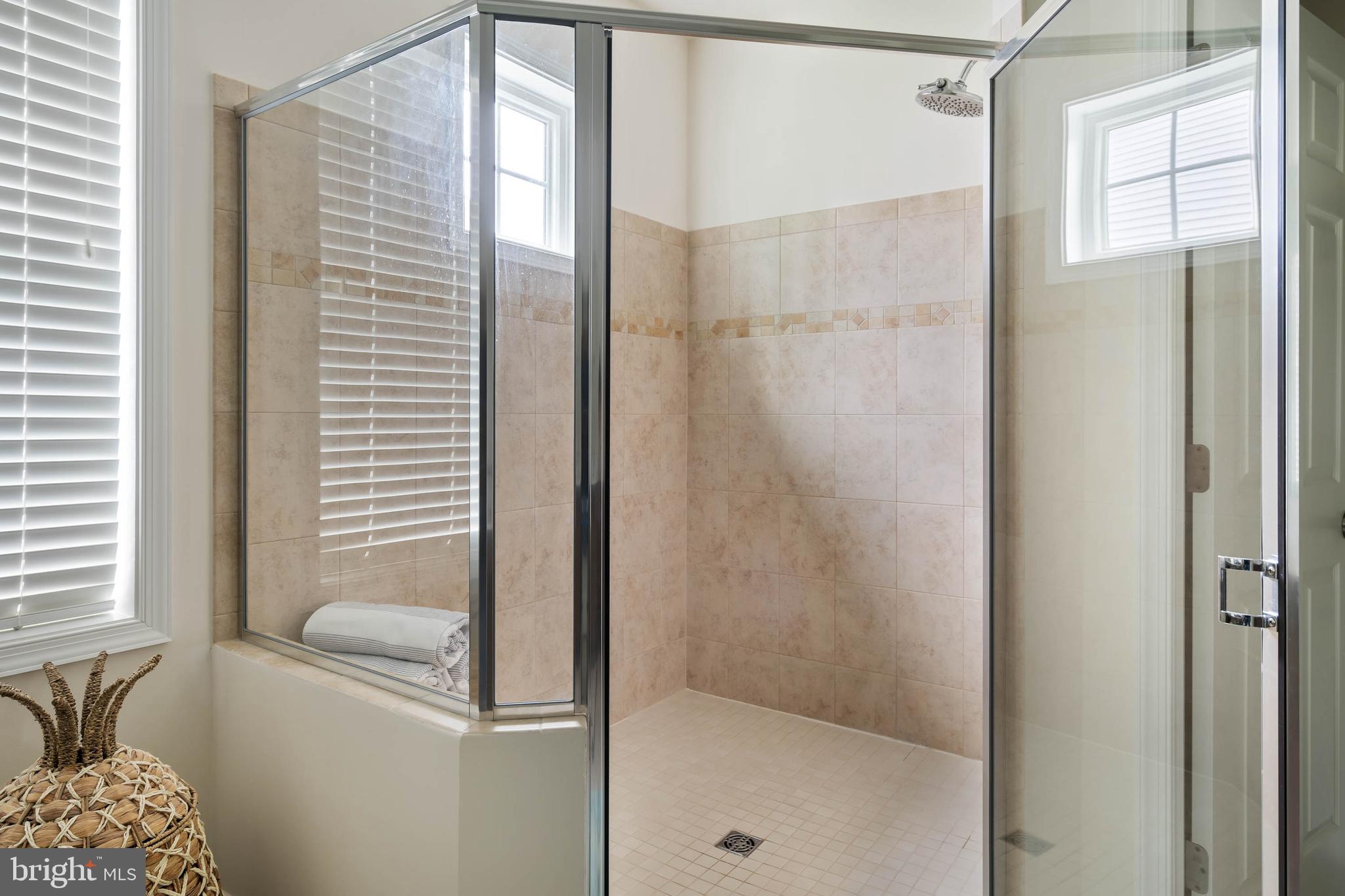 35228 Acadia Lane Lewes, DE 19958 - Photo 29 of 58 Oversized Shower