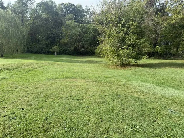 a view of a park with large trees