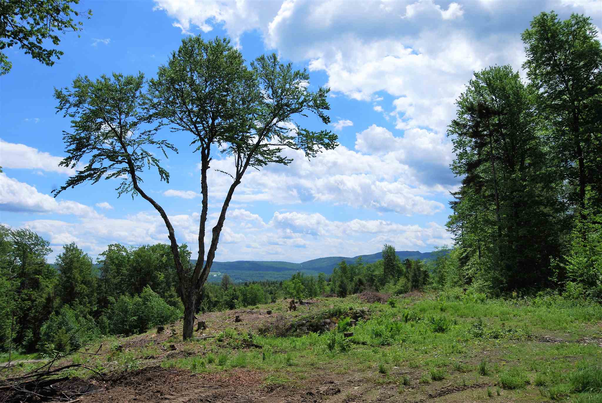 Lot 3 Berno Road, Unit LOT 3 Waterbury, VT 05676 - Photo 3 of 35