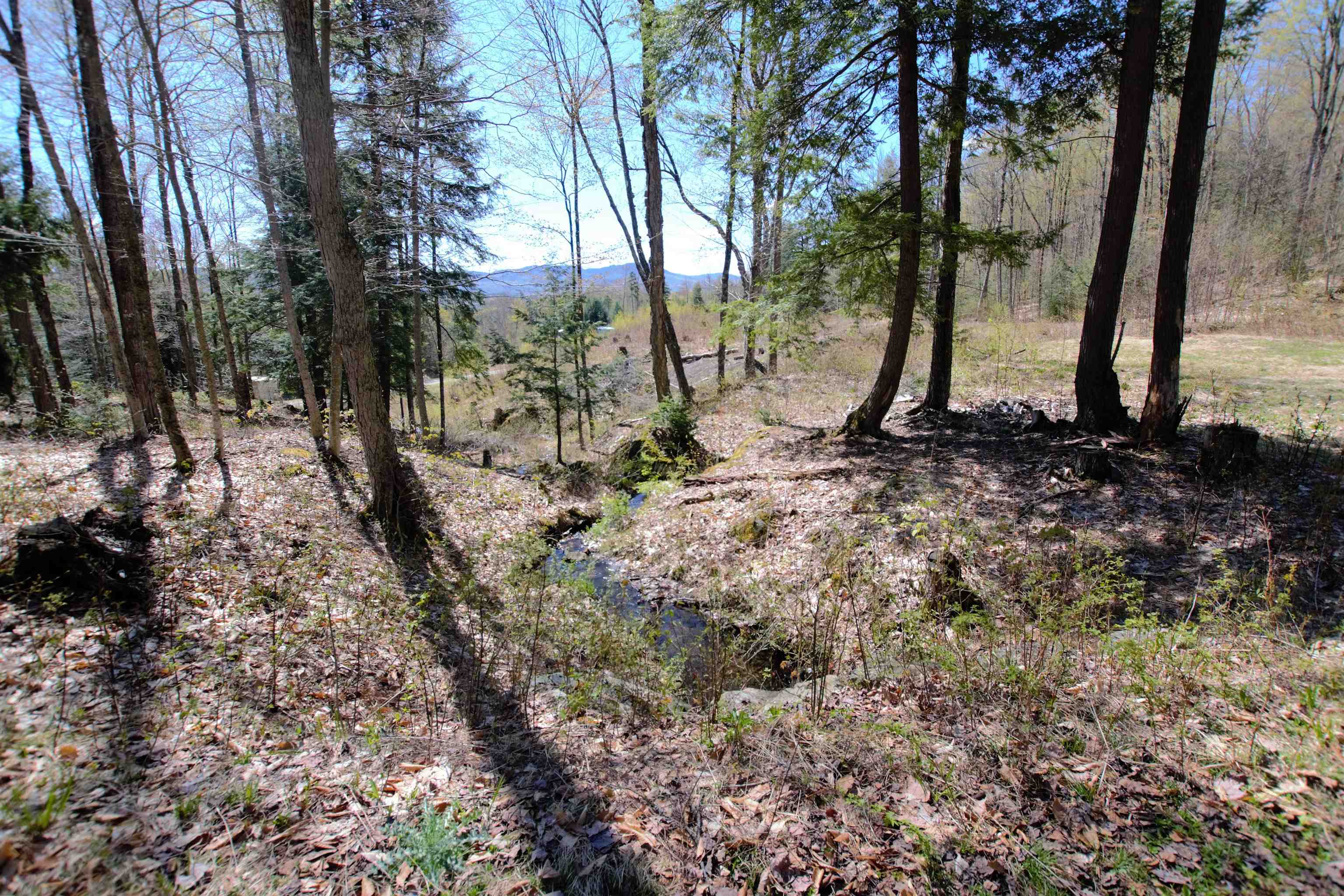Lot 3 Berno Road, Unit LOT 3 Waterbury, VT 05676 - Photo 8 of 35