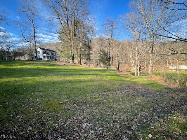 52279 Bares Run Road Hannibal, OH 43931 - Photo 17 of 17 View of yard