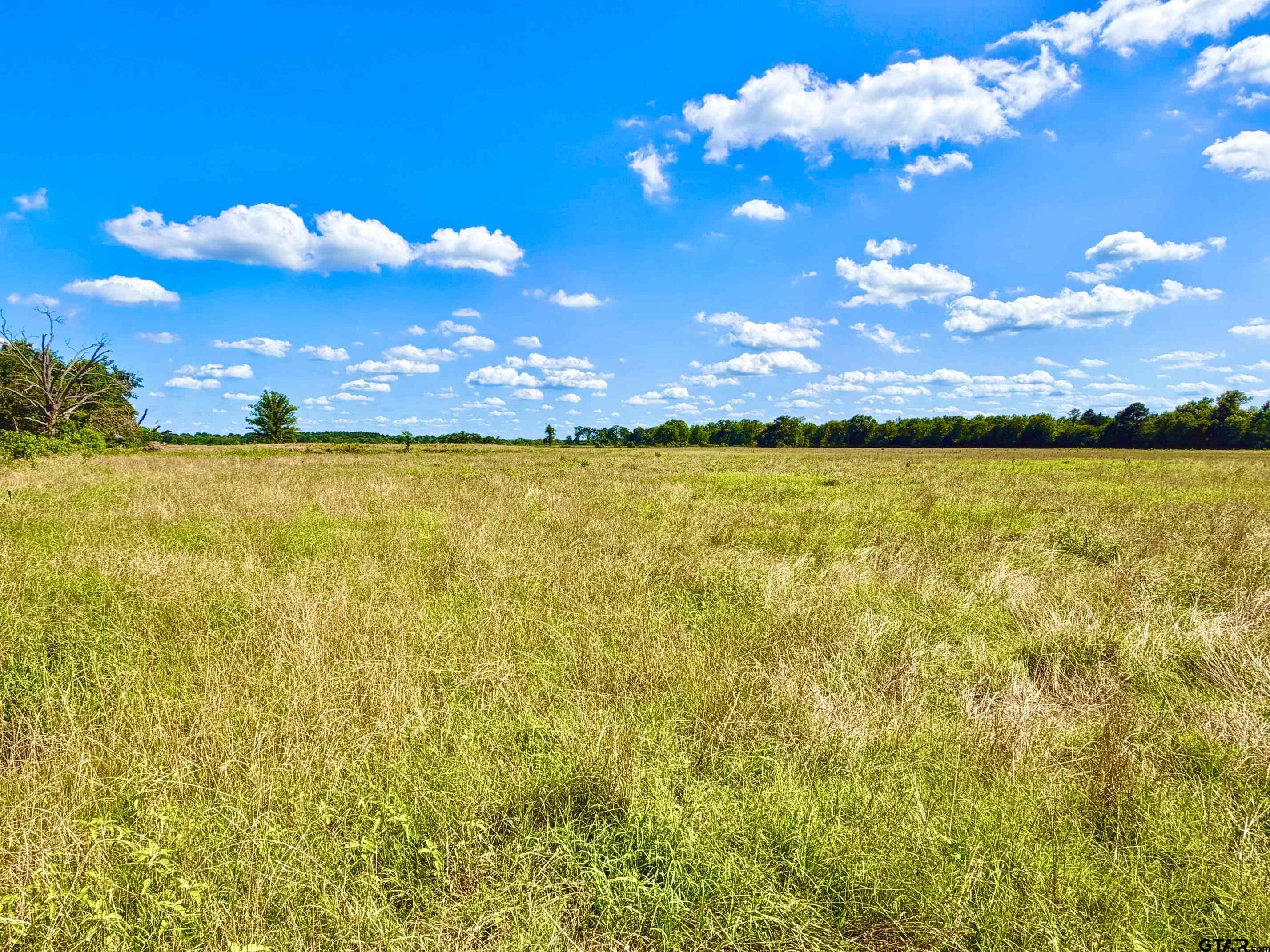 Tbd Cooper Settlement Road Crockett, TX 75835 - Photo 4 of 11