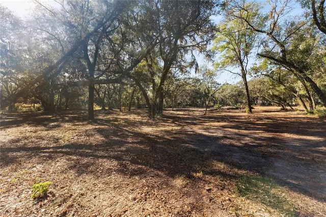 a view of outdoor space with city view